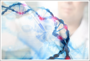 DNA-In SY5Y - 0.1 mL现货供应 品牌:GlobalStem 美国 -盖德化工网
