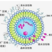 海藻酸钠包覆胰岛素脂质体产品图片