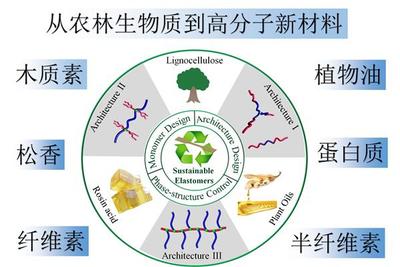 课题组第29篇论文在Accounts of Chemical Research 发表