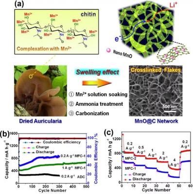 中科大俞汉青EES综述:生物碳基材料在能量储存与转换中的应用