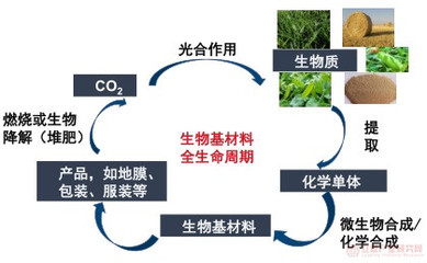 我国出台多项科技战略性规划政策,明确指出要重点发展生物基材料