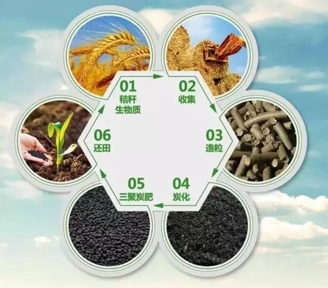 成果推广:生物炭基肥料特性及农业应用
