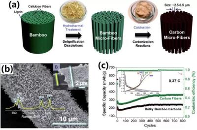 中科大俞汉青EES综述:生物碳基材料在能量储存与转换中的应用