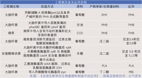 生物基产业崛起 新材料应用加速,资本纷纷入局