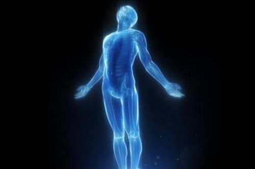 人体脚骨骨骼一共有多少块