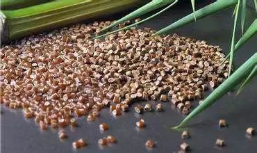全面解读2018年全球生物塑料市场情况