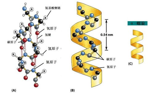 原来晒被子有很多误区,不注意就白晒了 最后一个你有没有犯过