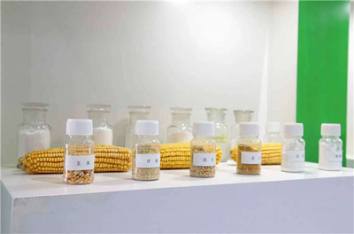 【大国小鲜@新发展理念】濮阳市南乐县:发展生物基材料产业 助力生态文明建设
