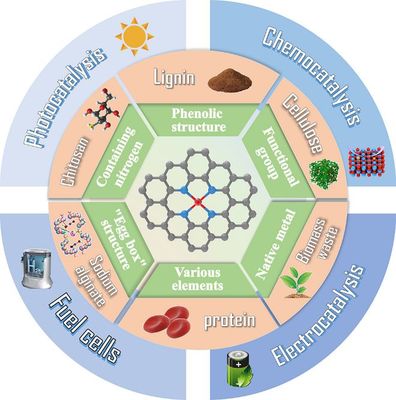 天津科技大学司传领、王冠华等Adv. Colloid Interfac.综述: 生物质衍生碳基单原子催化剂的制备及应用