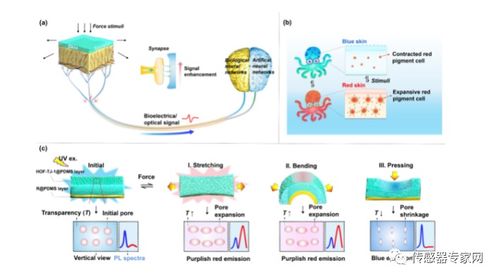 同济大学 受生物启发合成hof基发光皮肤传感器具有三重力致变色响应材料