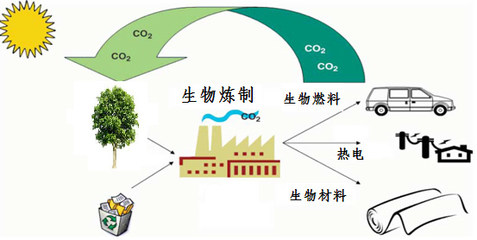 美丽化工-生物炼制--解决资源和环境问题的金钥匙