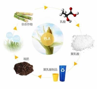 关于生物可降解塑料的误解,你中了几个?