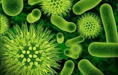 生物基与阻燃能否有火花?