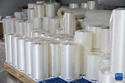 中国经济样本观察·县域样本篇丨界首:最懂得"垃圾是放错地方资源"的小城