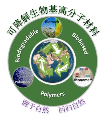 团队简介