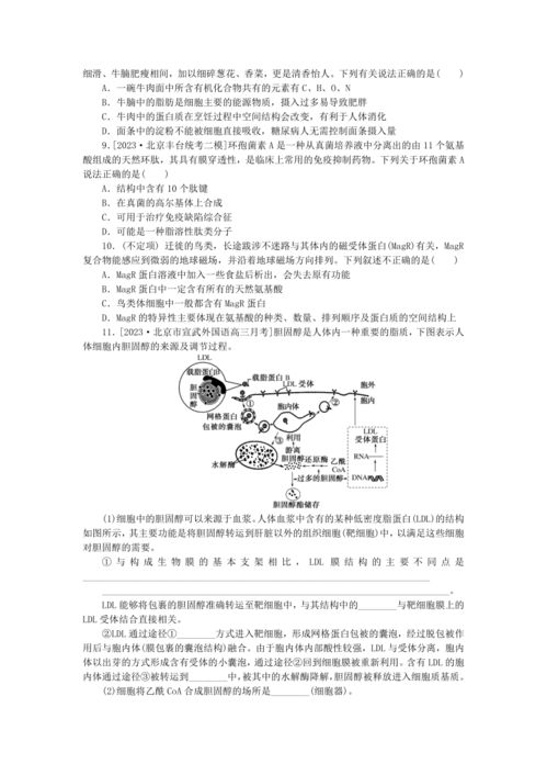 新教材2024高考生物二轮专题复习整合训练1生命系统的物质基础 含解析