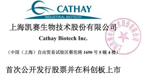 一周张江头条 融资 ipo 科创板 哪些张江企业上榜了