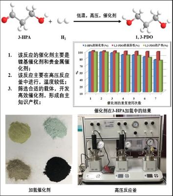 生物基内衣让谁更高贵了?