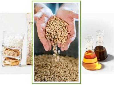 斯道拉恩索2019年业绩解读 生物质材料事业部生物基材料销售亮点