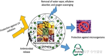 生物基活性食品包装材料 技术研发与应用前景