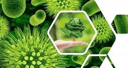 生物质材料 绿色未来的基石——生物化工产品技术研发