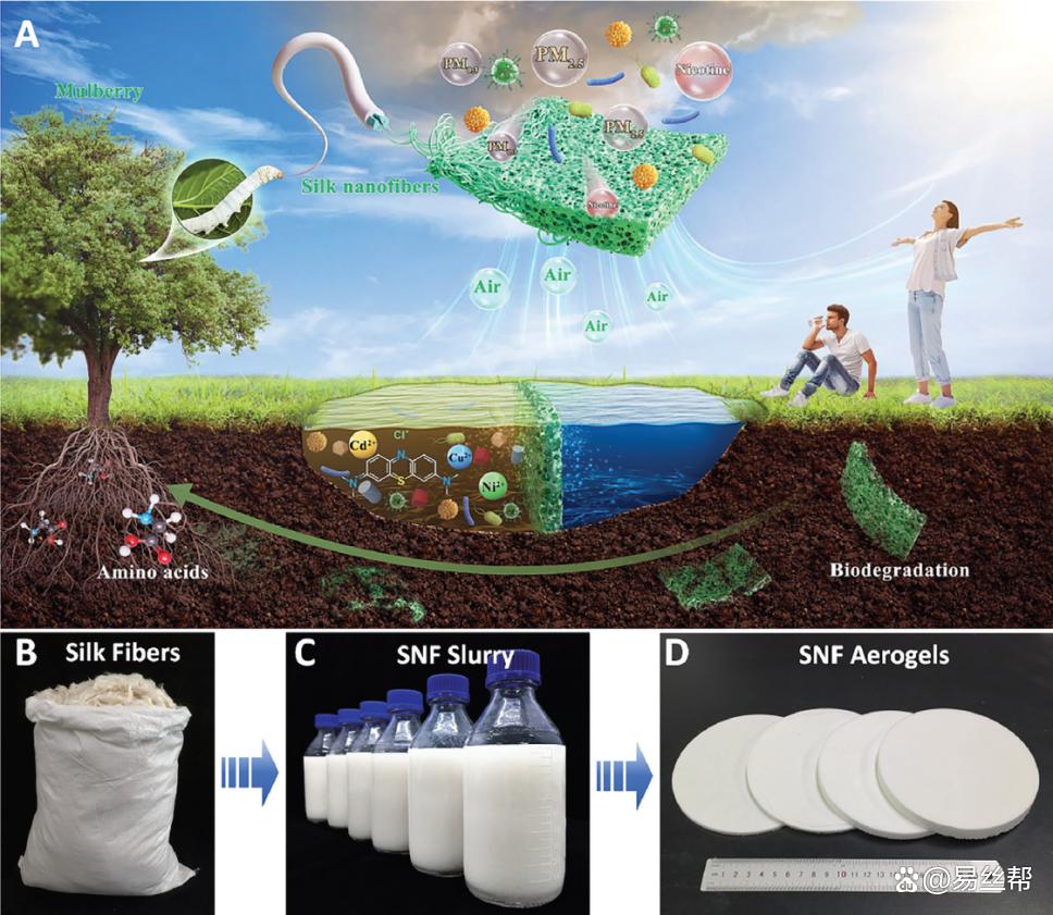 基于蚕丝纳米纤维的多功能可生物降解化工产品技术研发