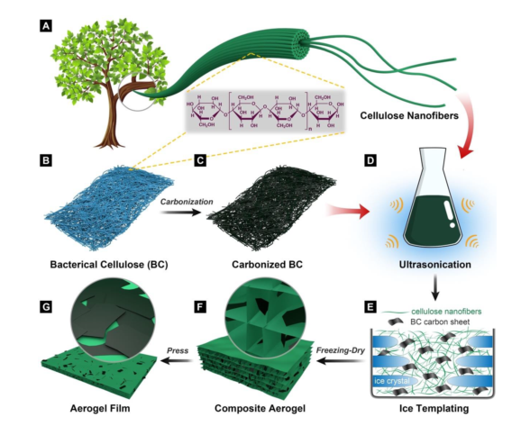 北京林业大学许凤教授课题组在生物质基功能新材料研发领域的前沿探索与实践